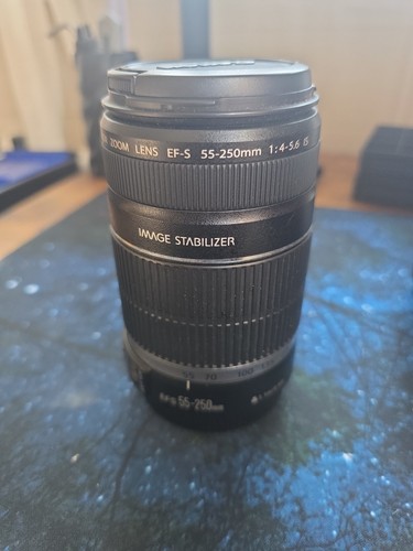 Canon efs 250mm zoom - canon,