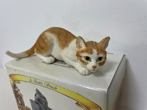 Leonardo ginger white - &, cat