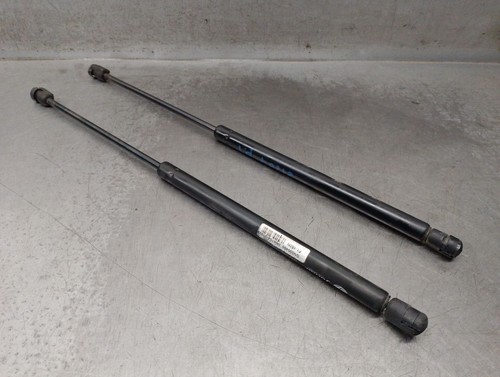 8d5827552f tailgate gas - gas, strut