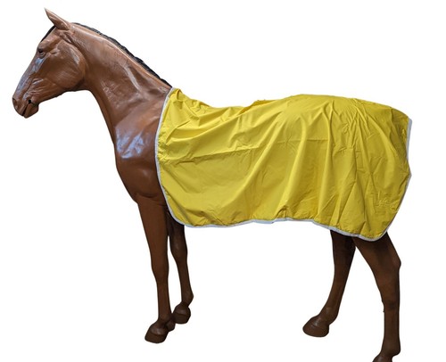 Waterproof exercise sheet - sheet,