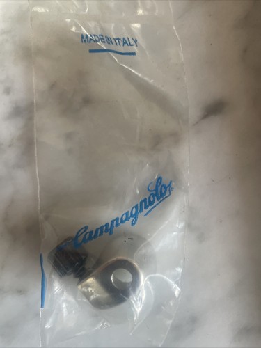 New campagnolo curved downtube - campagnolo,