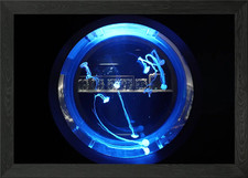 Blue Jellyfish in Circular