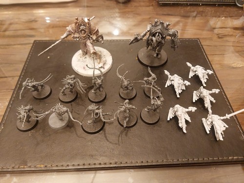 Adepta sororitas sisters - adepta,
