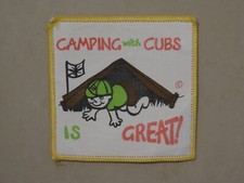 Camping with Cubs is Great