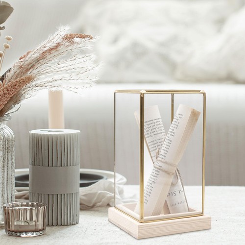 Collectible glass display - collectible, case