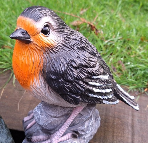Garden gift robin - garden,