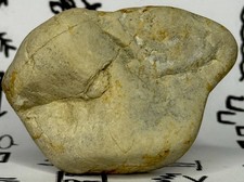 Native American Indian