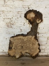 Waney Edge Live Edge Oak Burr
