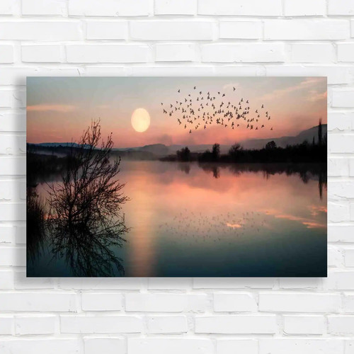 Birds silhouettes flying above - birds,