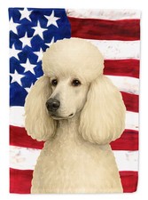 White Standard Poodle American