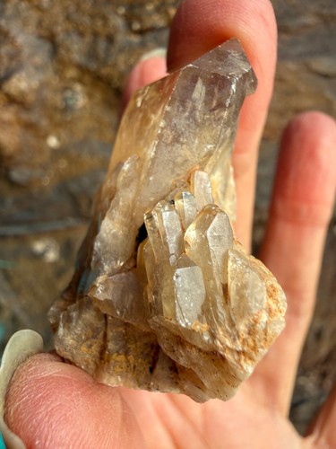 Citrine lightbrary cathedral - lightbrary,