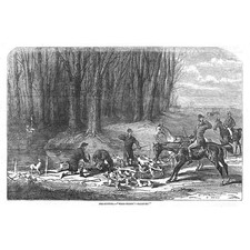 Fox Hunting Scene -