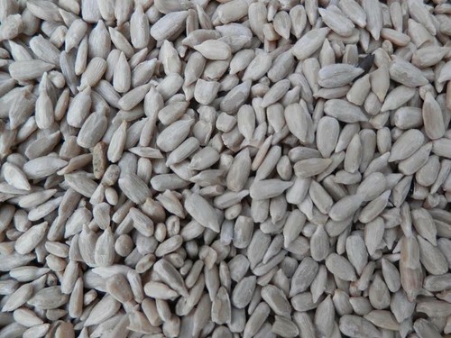 20kg sunflower hearts - hearts, premium