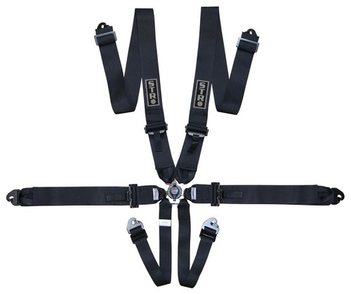 Point race harness - 6-point, fia
