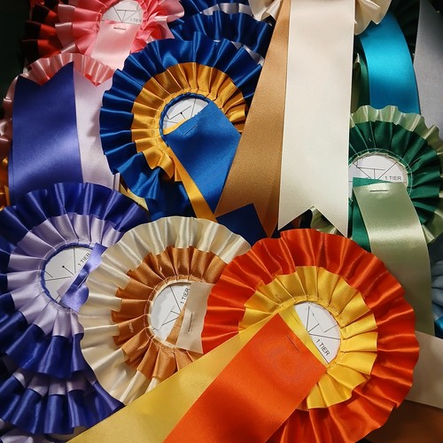 Rosettes job lot clear - rosettes,