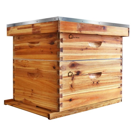 Frame medium waxed bee - 10,
