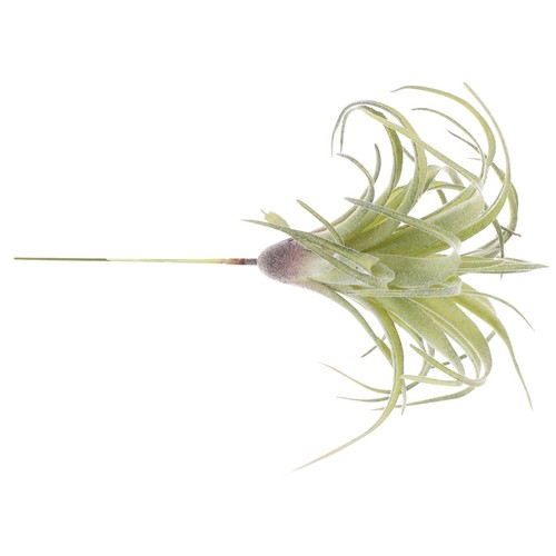 Reusable artificial bromeliad - reusable,