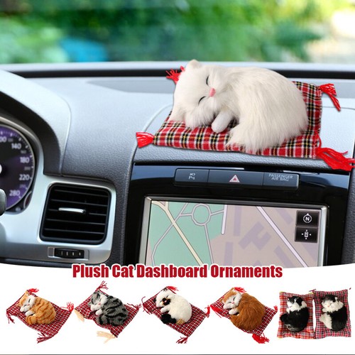Sleeping cat car - cat, interior