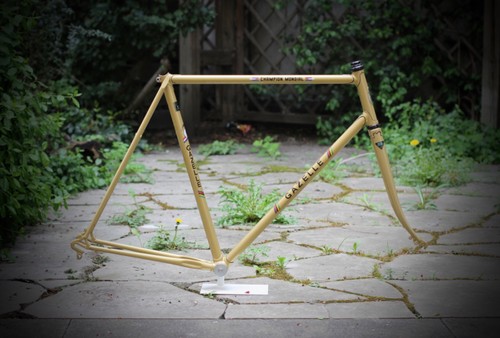 Vgc gazelle champion mondial - gazelle,