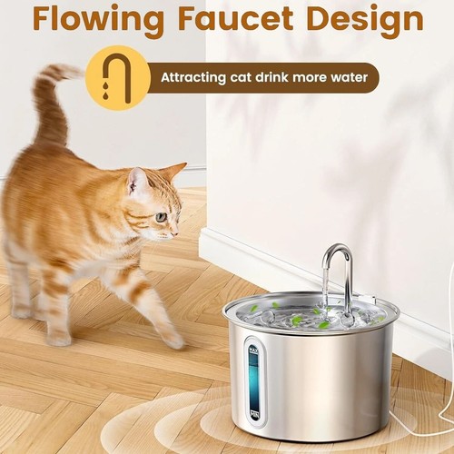 Cat water fountain - water, for