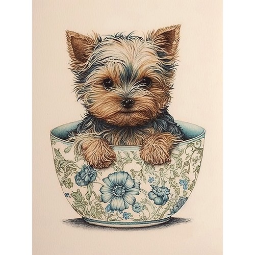 Cute teacup yorkshire - cute, terrier