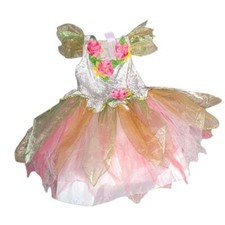 Fairy Dust Fairy Dress