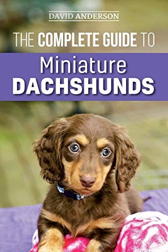The complete guide - the,