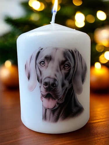 Weimaraner dog candle x - weimaraner,