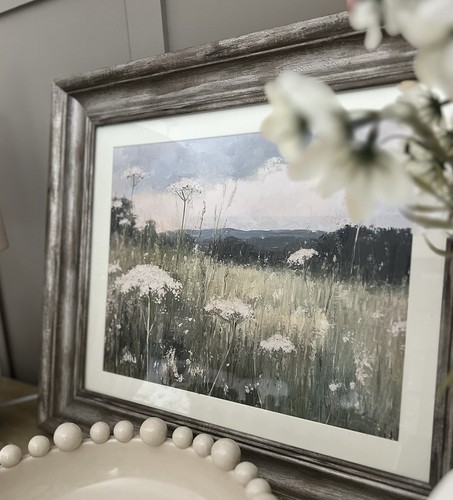 Summer meadows country - -,