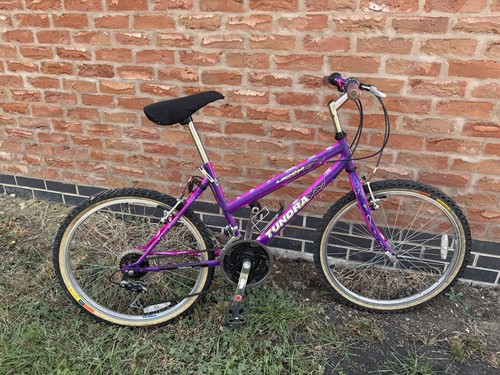 Raleigh tundra lienna - tundra, ladies