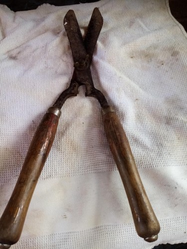 Vintage gardening shears circa - vintage,