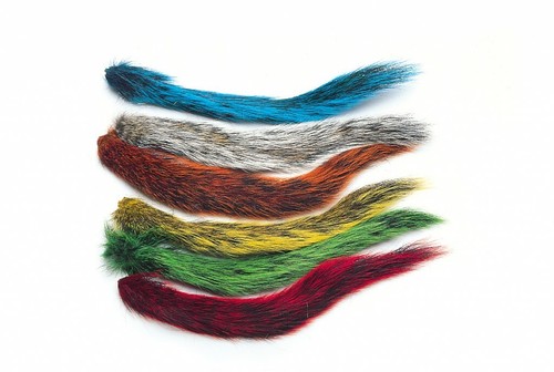 Grey squirrel whole tails for - grey,
