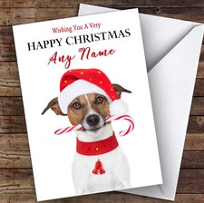 Jack Russell Terrier Dog Candy