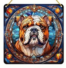 ENGLISH BRITISH BULLDOG Dog