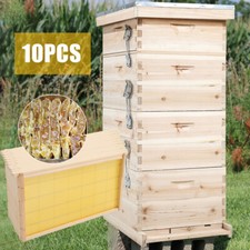 4 Tiers Langstroth Beehive Box Hive+10 Pack Brood Bee Hive Frames and Foundation