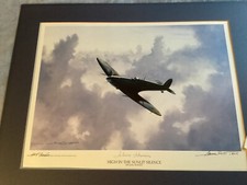 HIGH IN THE SUNLIT SILENCE ARTIST PROOF BY MICHAEL RONDOT + COA