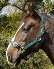 EXTRA FULL NYLON HEADCOLLAR