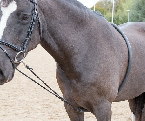Shires soft horse - soft, lunging