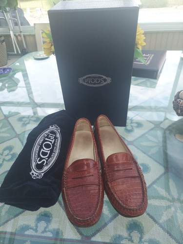Tod genuine crocodile - tod's,