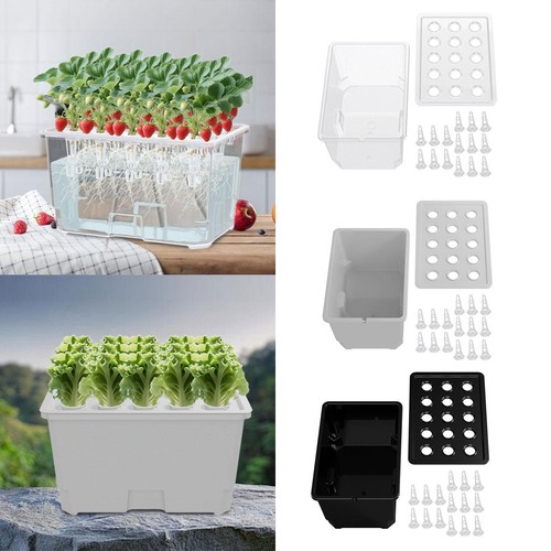 Hydroponic growing system - system, kit
