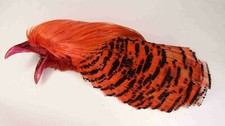 IFS Pink Golden Pheasant