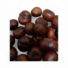 Conkers Horse Chestnut Spider Repellent x 30 Pocket Money Project