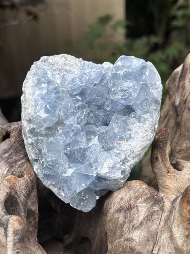 Celestite open cluster geode - celestite,