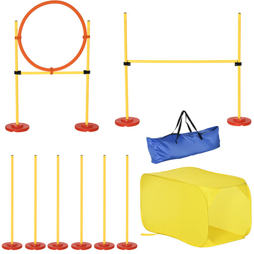Outdoor dog agility training - dog,