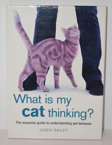 What cat thinking - is,