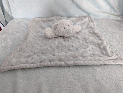 Blankets and beyond - teddy, bear