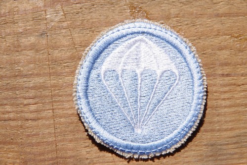 101st airborne paratrooper - airborne,