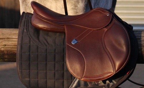 Bates momentum jumping saddle - bates,