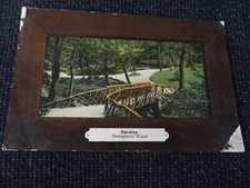 Darwen Sunnyhurst Wood