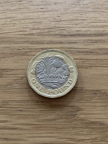 2016 one pound coin - £1,